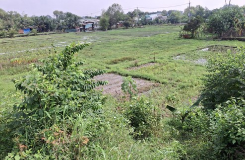 Đất view kênh Đường 566 Củ Chi, 1894m2, 56x50m, Đ.5m chỉ 5.x tỷ